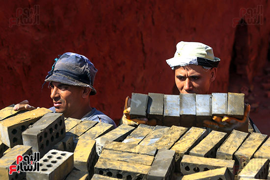 الطوب الاخضر الطوب الاخضر