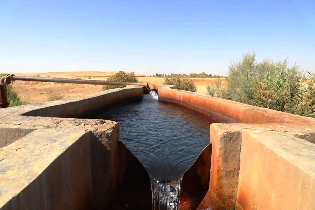 ابار الوادى الجديد الحكومية ابار الوادى الجديد الحكومية