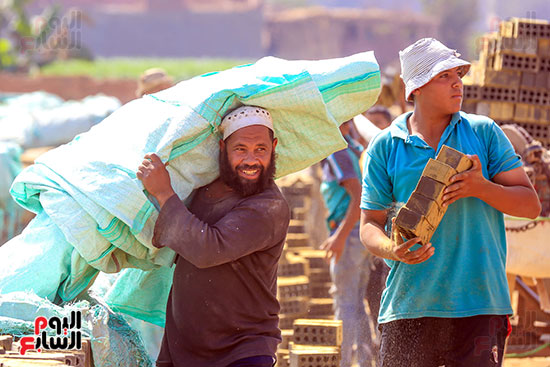 تغطية الطوب الطفلى تغطية الطوب الطفلى