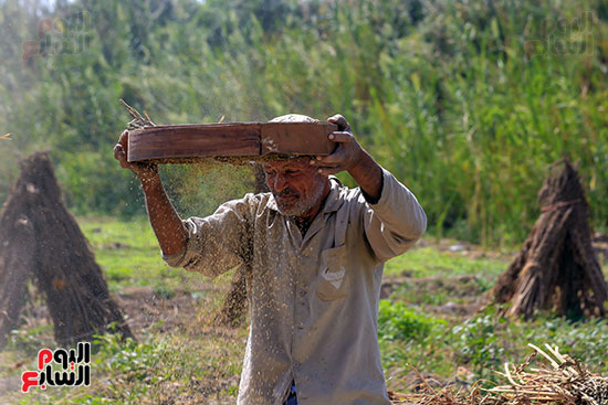 عامل غربلة السمسم