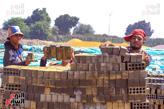 تنظيم الطوب في صفوف تنظيم الطوب في صفوف