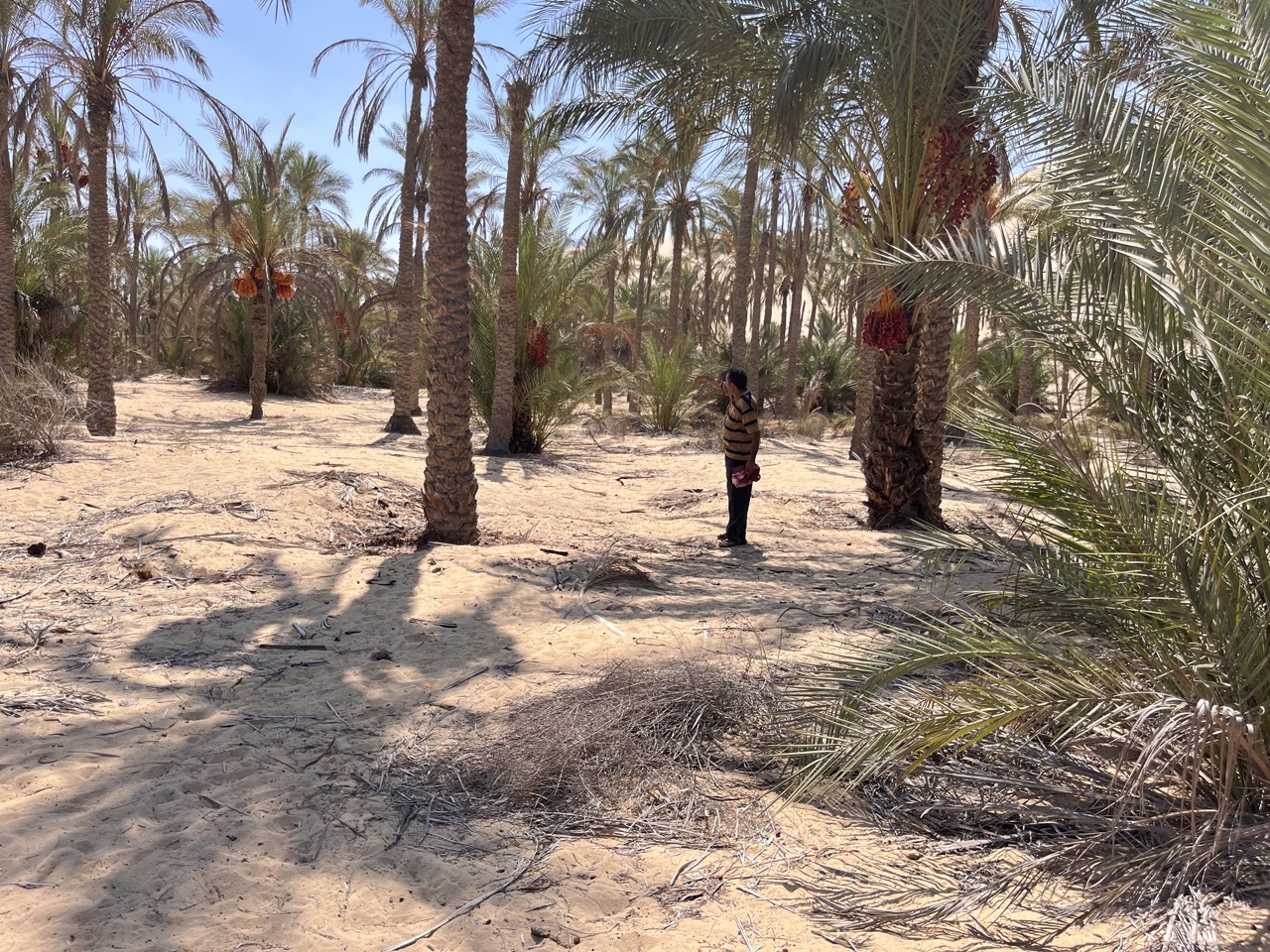 هنا كان ملاذ الابطال