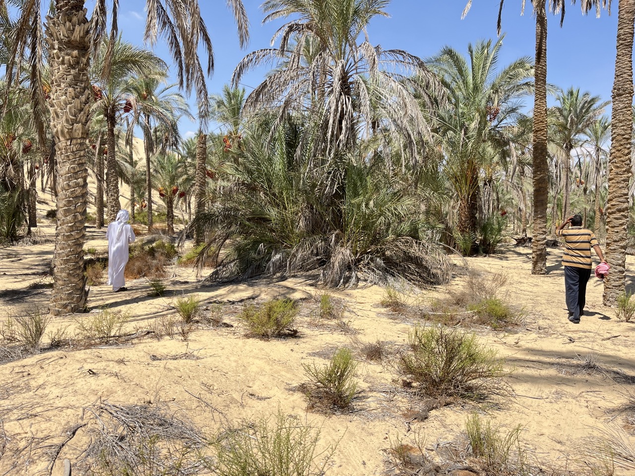 ذاكرة المكان لاتنسي البطولات