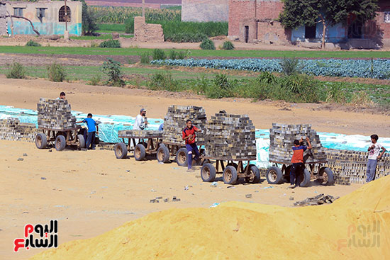 تعبئة الطوب بعد التجفيف تعبئة الطوب بعد التجفيف