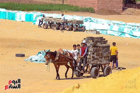 الطوب الطفلى الطوب الطفلى