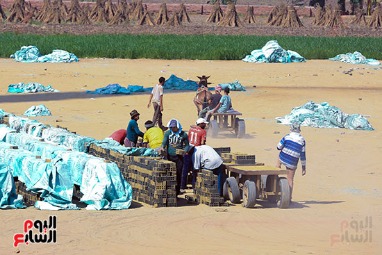 تحميل الطوب للدخول الى مكان الحريق تحميل الطوب للدخول الى مكان الحريق