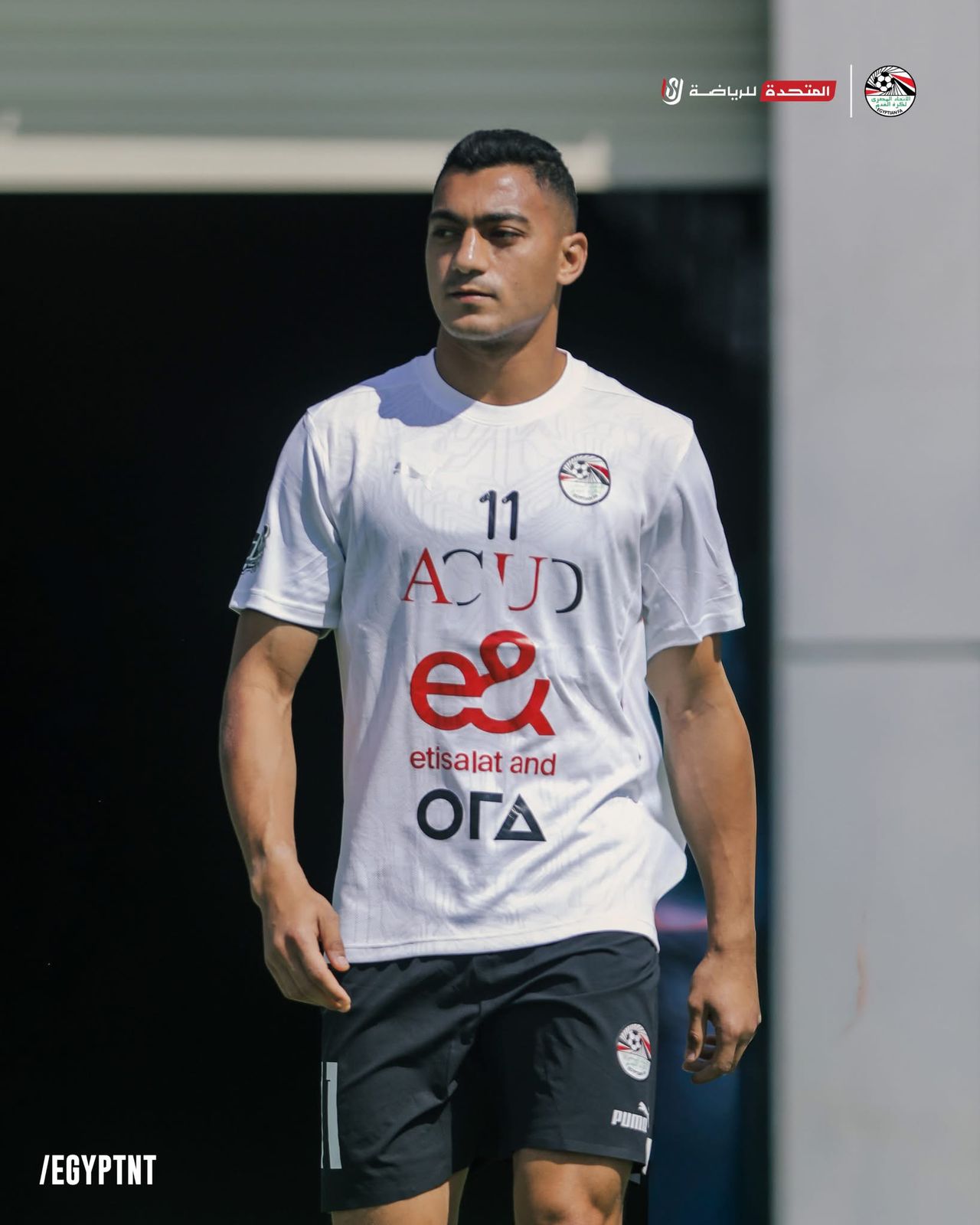 مصطفى محمد