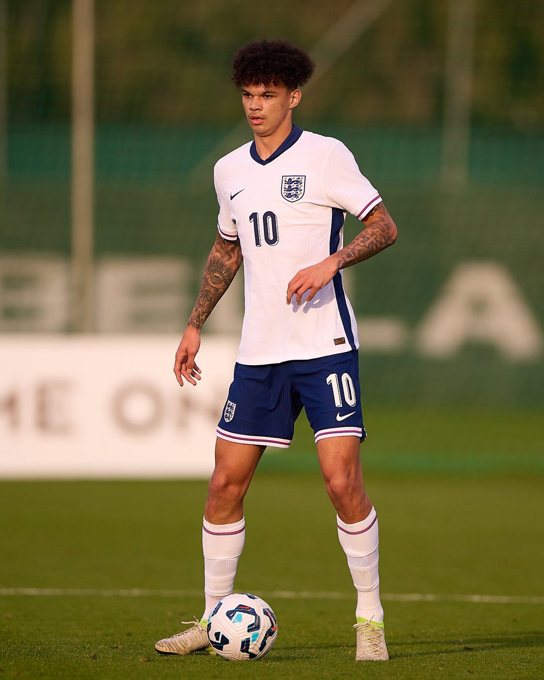 أوريلي أوريلي