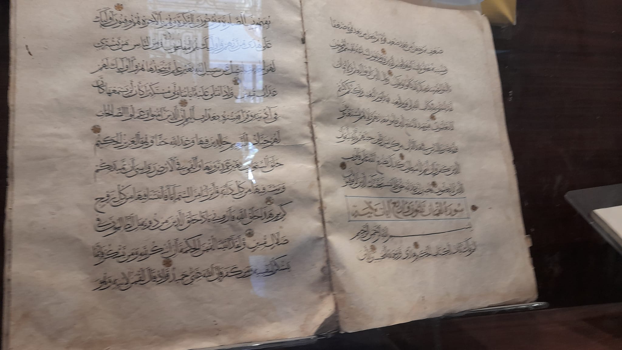 محطوط نادر (1) (1)