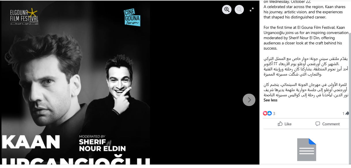 مهرجان الجونة