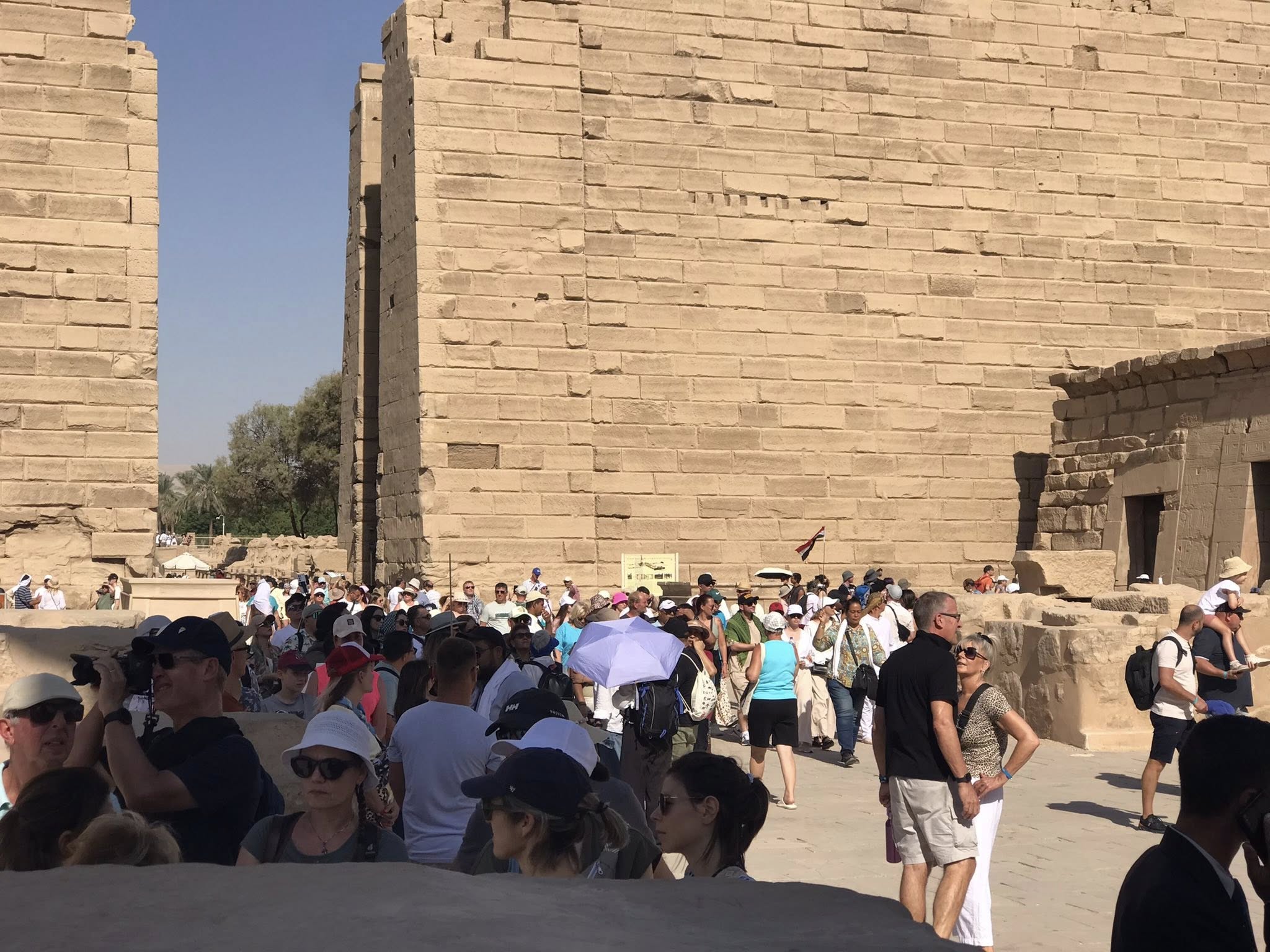 زيارات سياحية فى قلب معابد الأقصر زيارات سياحية فى قلب معابد الأقصر