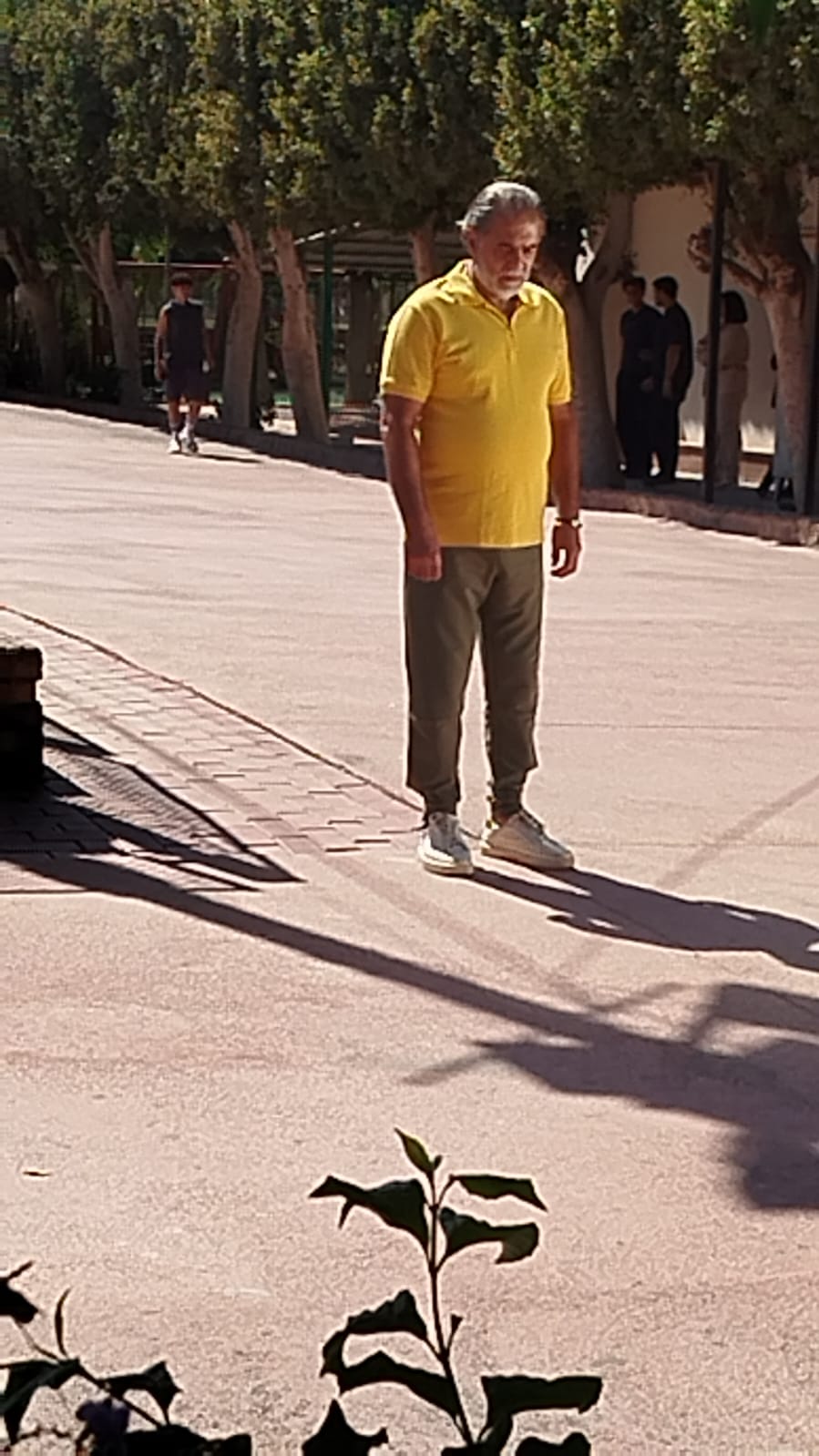 محسن محيي الدين