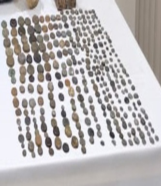  ضبط 533 قطعة أثرية داخل بيت مزارع في بني سويف (3)