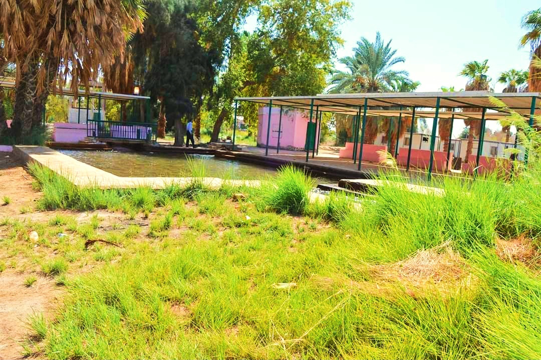 منتجعات خضراء تحيط بالآبار الساخنة منتجعات خضراء تحيط بالآبار الساخنة