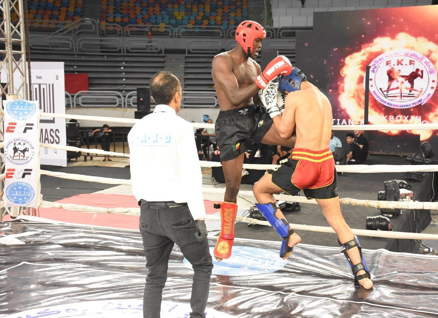 كأس إفريقيا للكيك بوكسينج