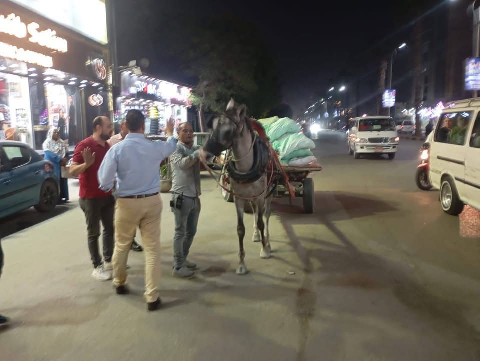 ضبط الفريزة والعربات الكارو بشارع فيصل نطاق بولاق الدكرور والعمرانية (4)