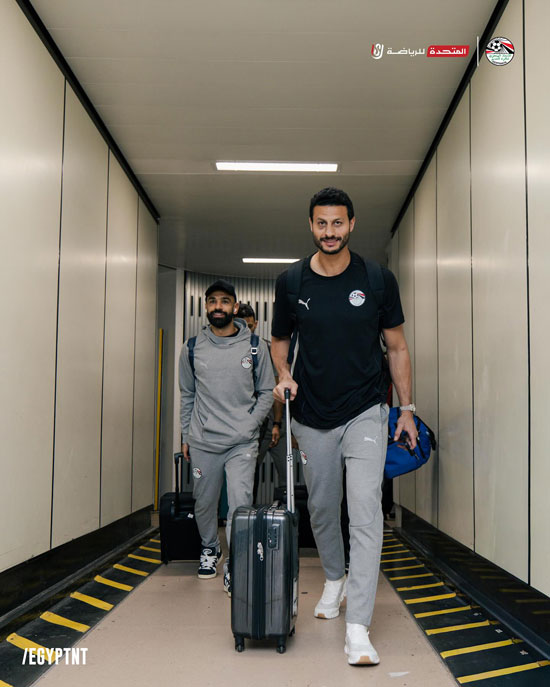 محمد الشناوى محمد الشناوى