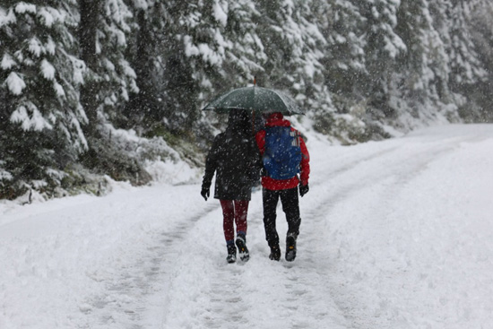 الشتاء يفرض سيطرته على بولندا بتساقط الثلوج وحرارة تسجل 3 درجات مئوية  (8)