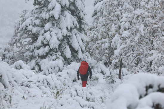الشتاء يفرض سيطرته على بولندا بتساقط الثلوج وحرارة تسجل 3 درجات مئوية  (2)