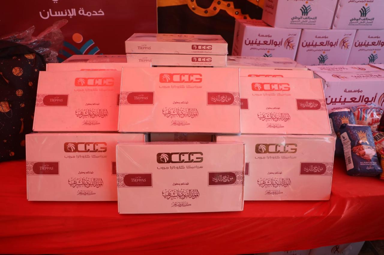 أبو العينين عضو التحالف الوطنى تشارك في قافلة “إيد واحدة”  (10)