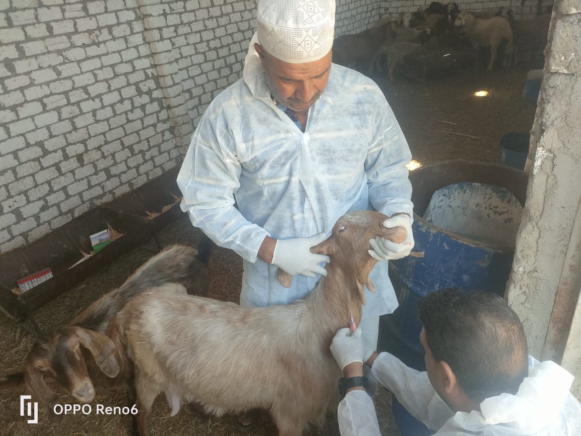 جانب من عمليات التطعيم (1)