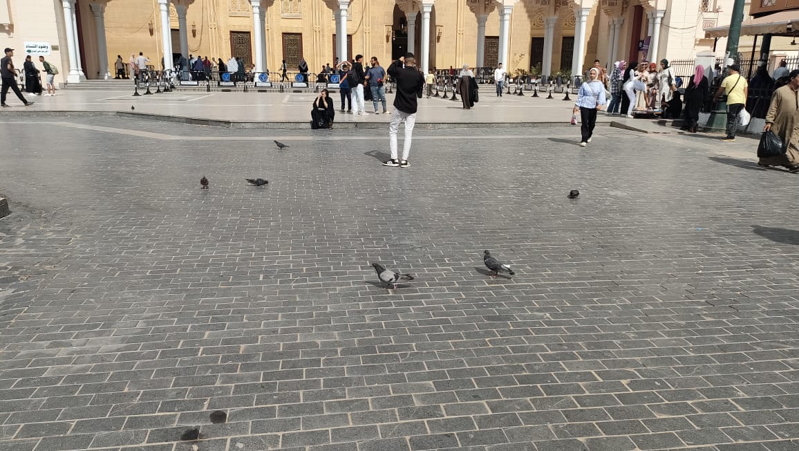 الوافدين يلتقطون سيلفي الوافدين يلتقطون سيلفي