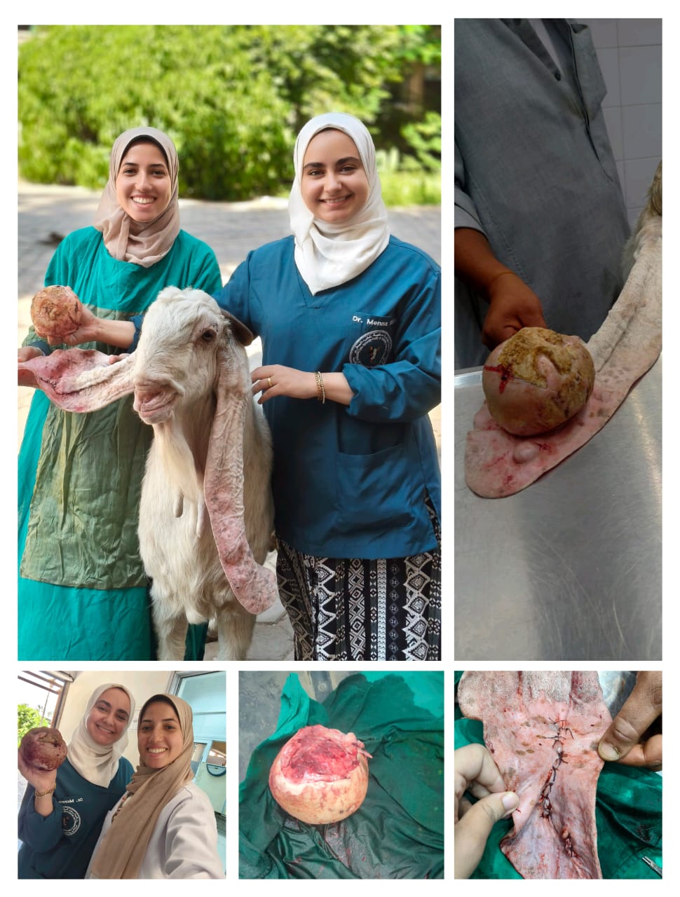 WhatsApp Image 2025-10-08 at 3.29.20 PM (1)