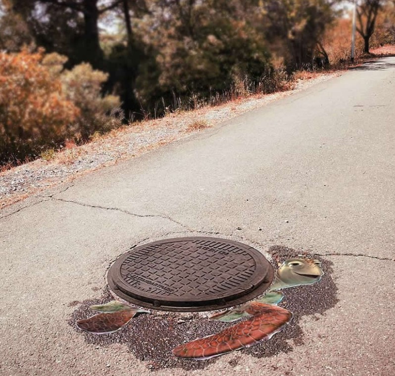 استغلال الصرف لرسم سلحفاة