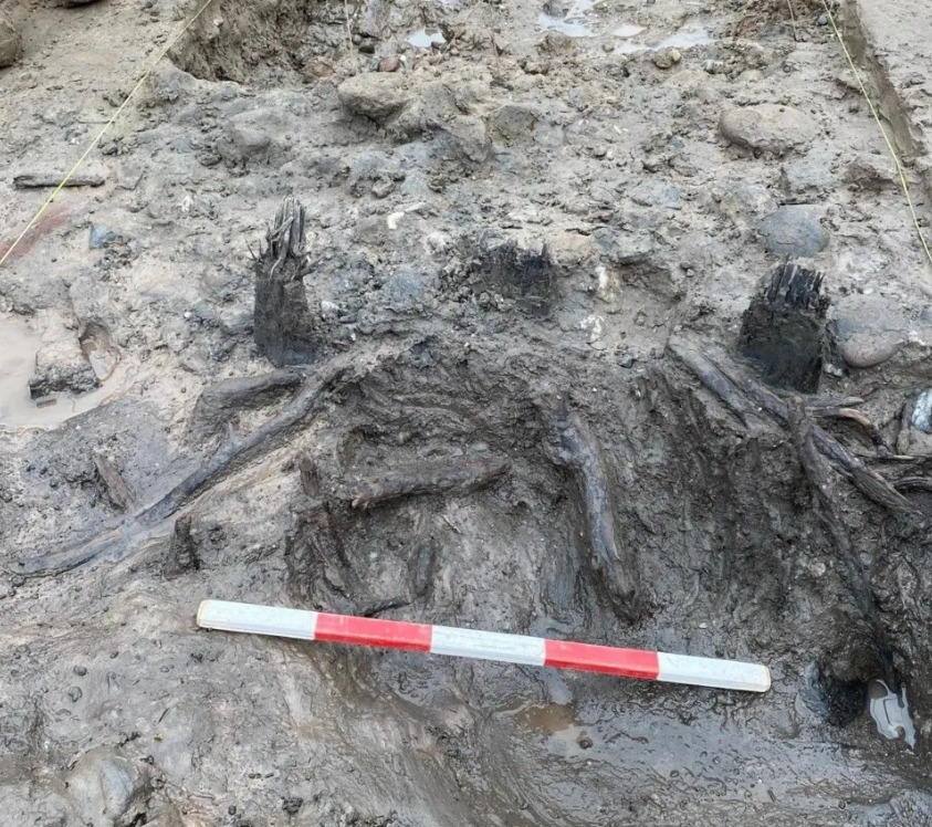 بقايا أعمدة خشبية بقايا أعمدة خشبية