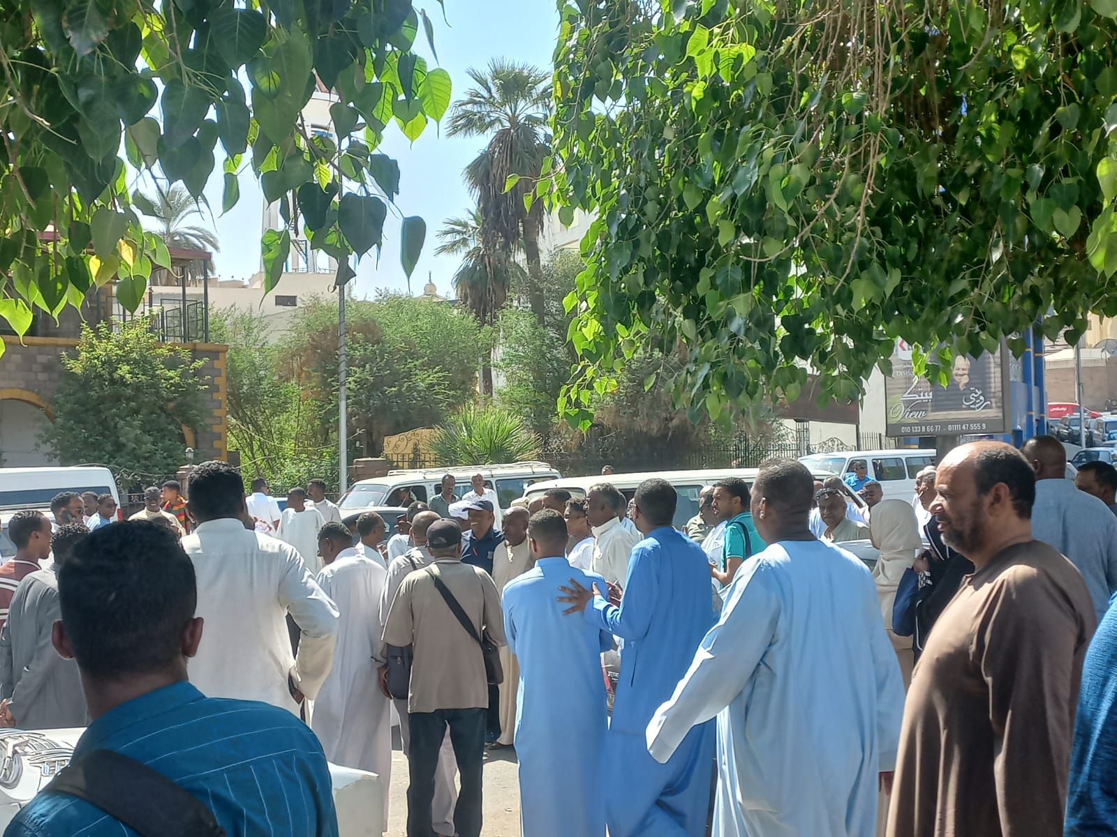 زفة نوبى لأنصار المرشحين زفة نوبى لأنصار المرشحين