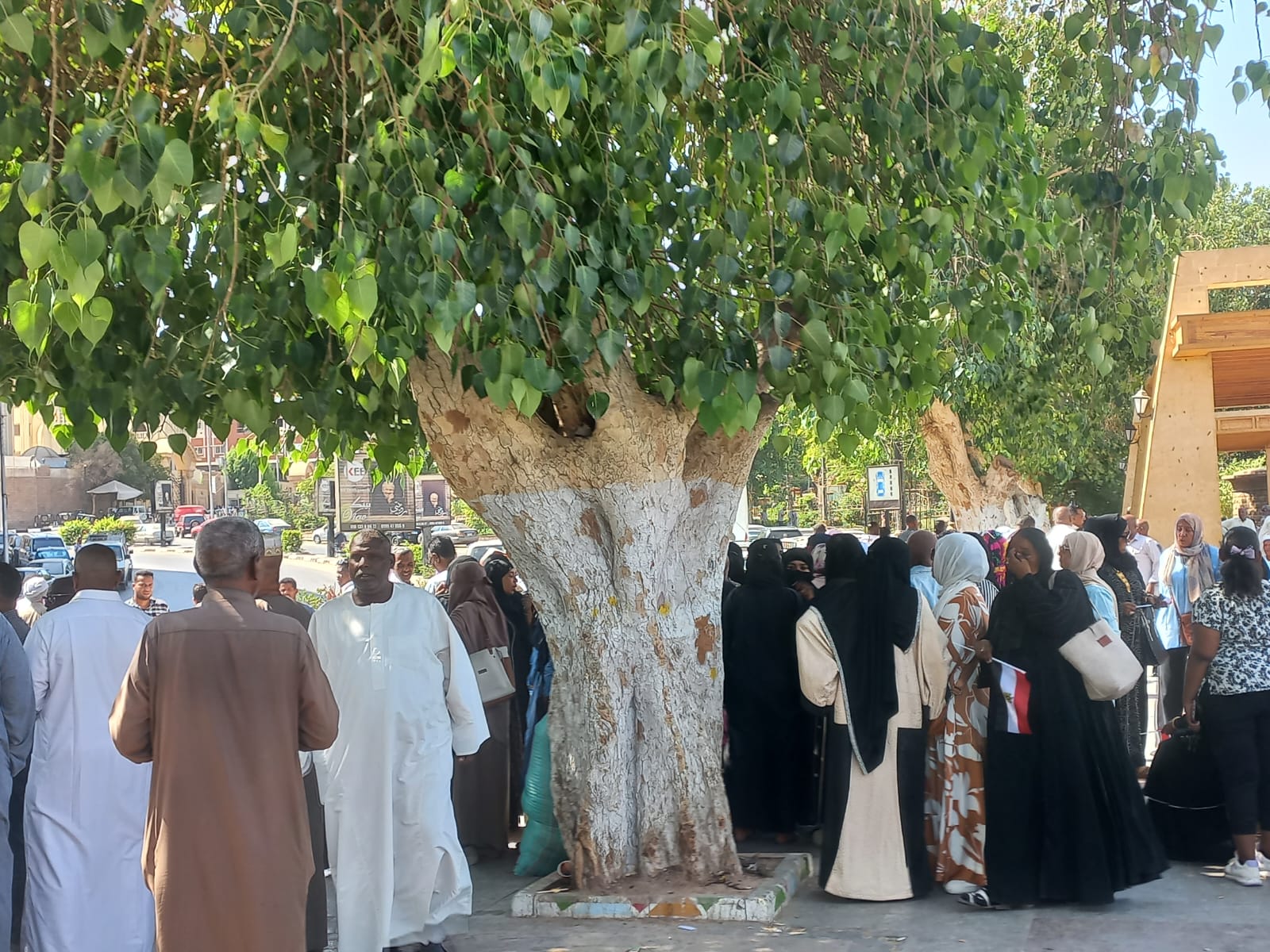 السيدات السيدات