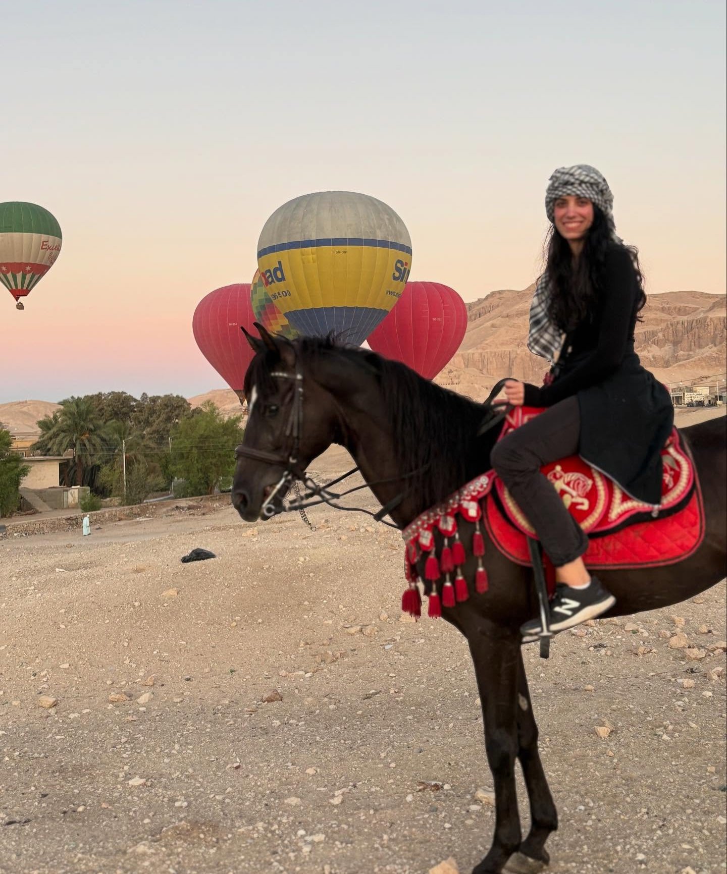 بهجة السياح برحلات الخيول غرب المحافظة