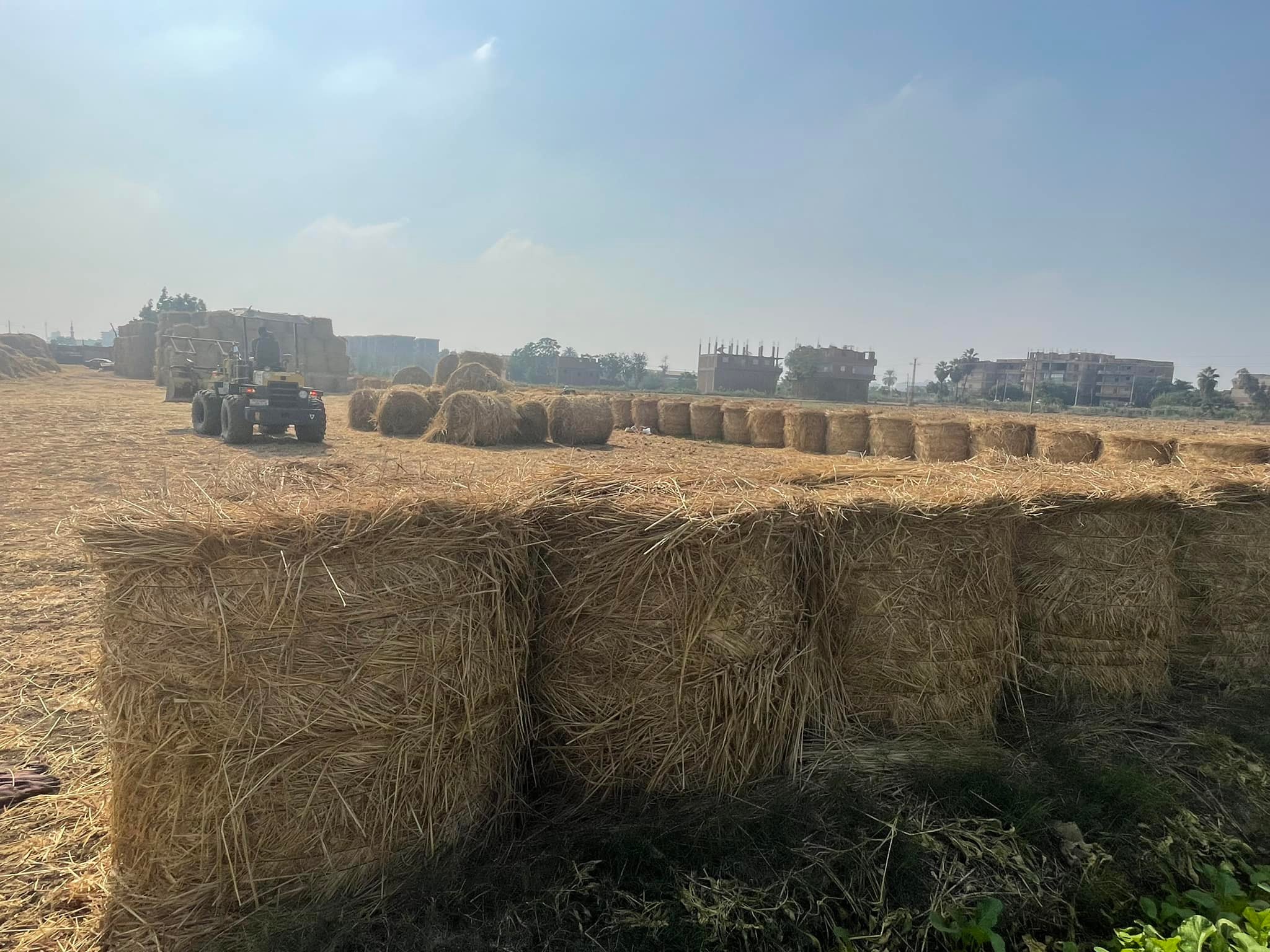 جانب من سير العمل