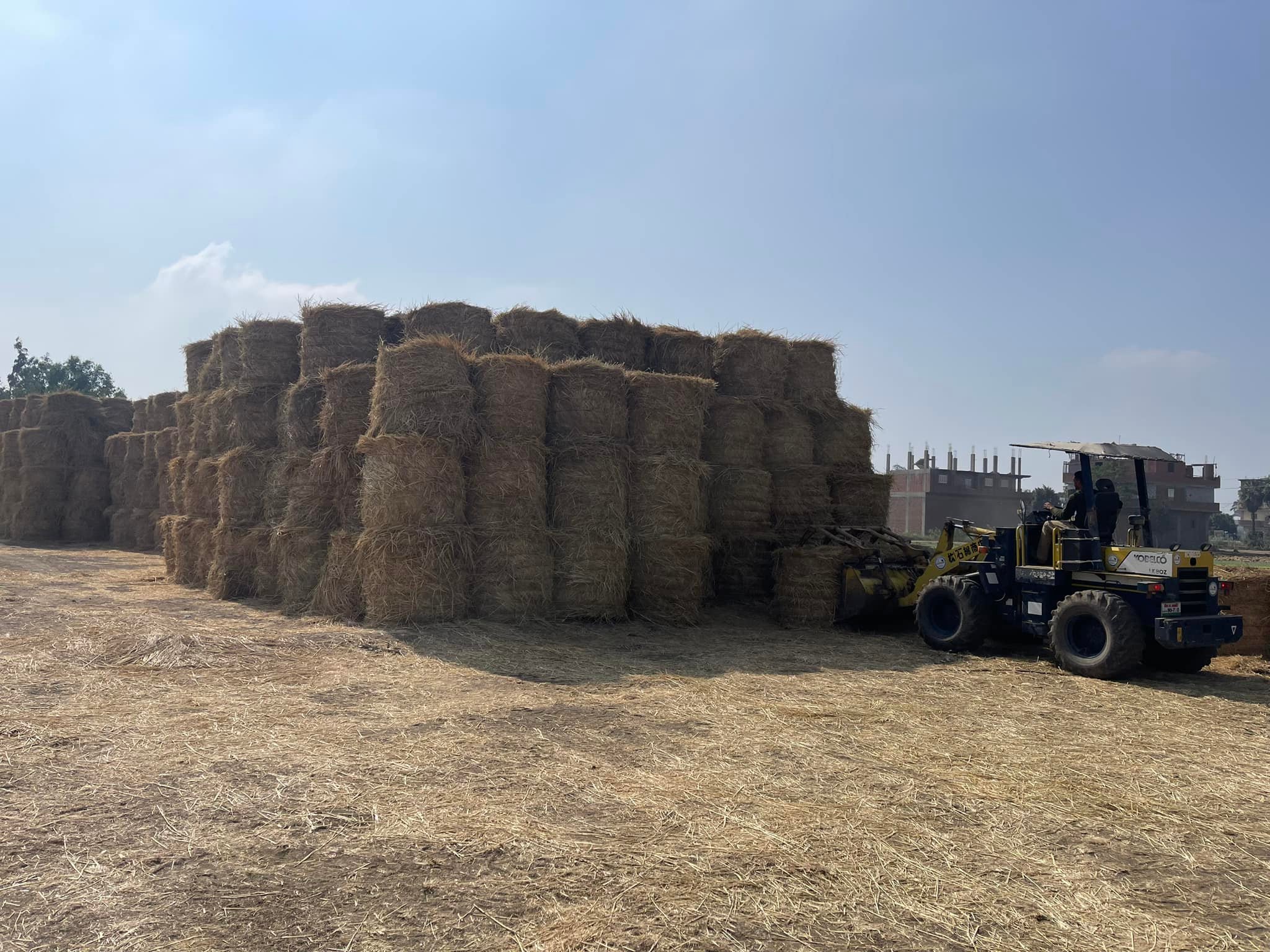 مركز تجميع قش الأرز بشلقان