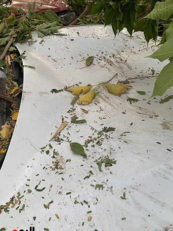 تهشم سيارة سيد نيمار (2)