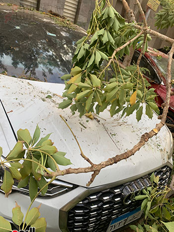 تهشم سيارة سيد نيمار (3)