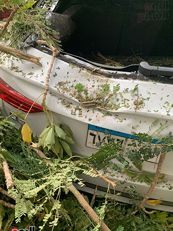 تهشم سيارة سيد نيمار (6)