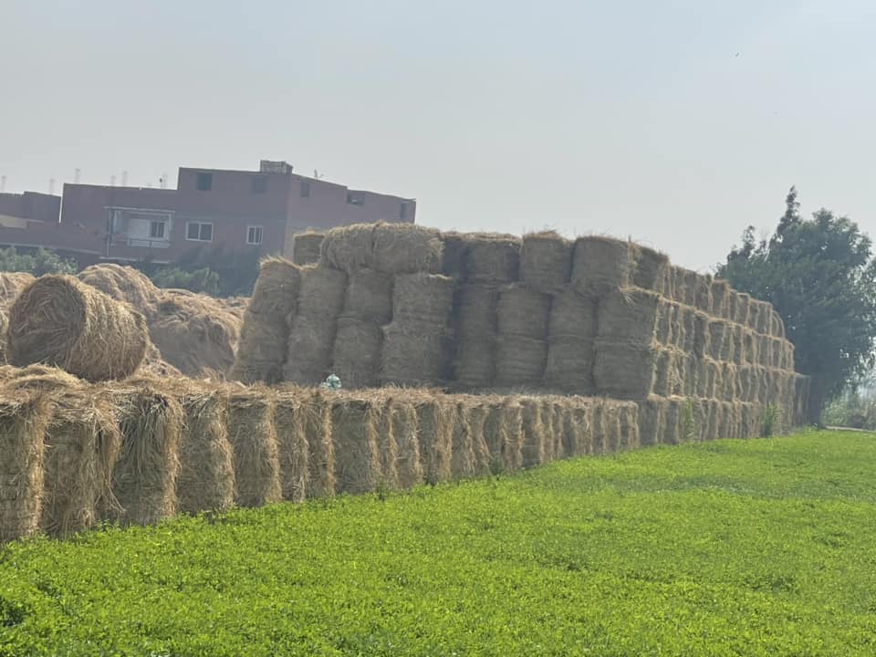 جانب من التجميع