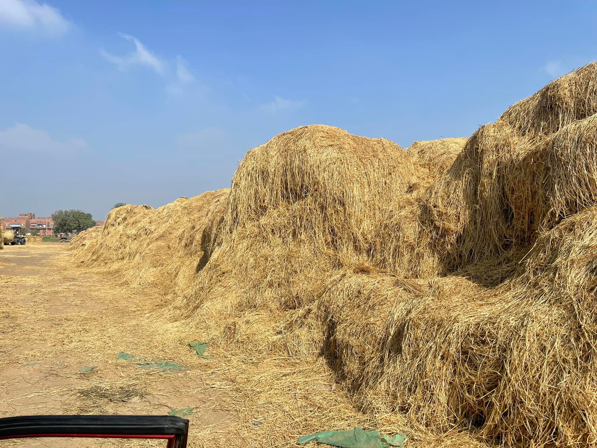 القش قبل كبسه