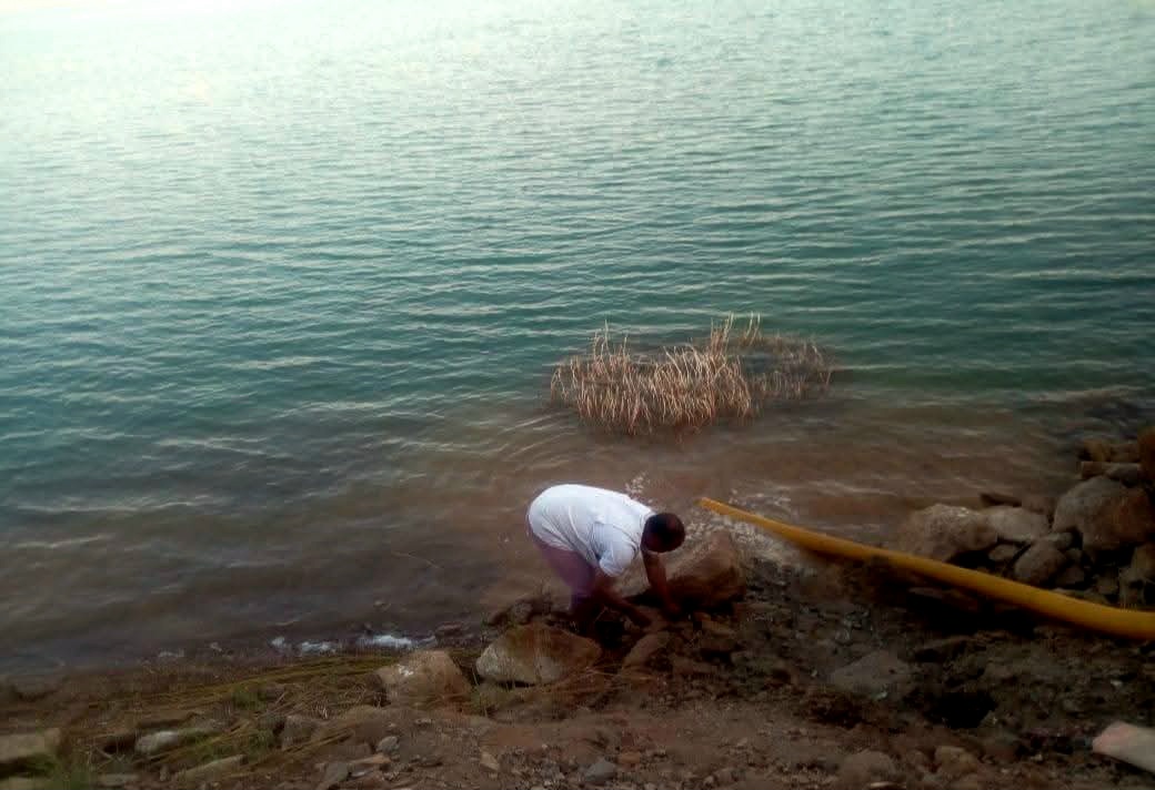 استكمال اعمال استزراع الأسماك استكمال اعمال استزراع الأسماك