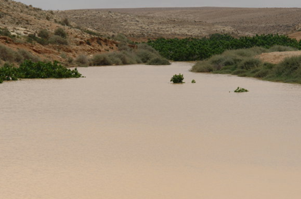 محافظة مطروح تنفذ مشروعات لحصاد مياه الأمطار
