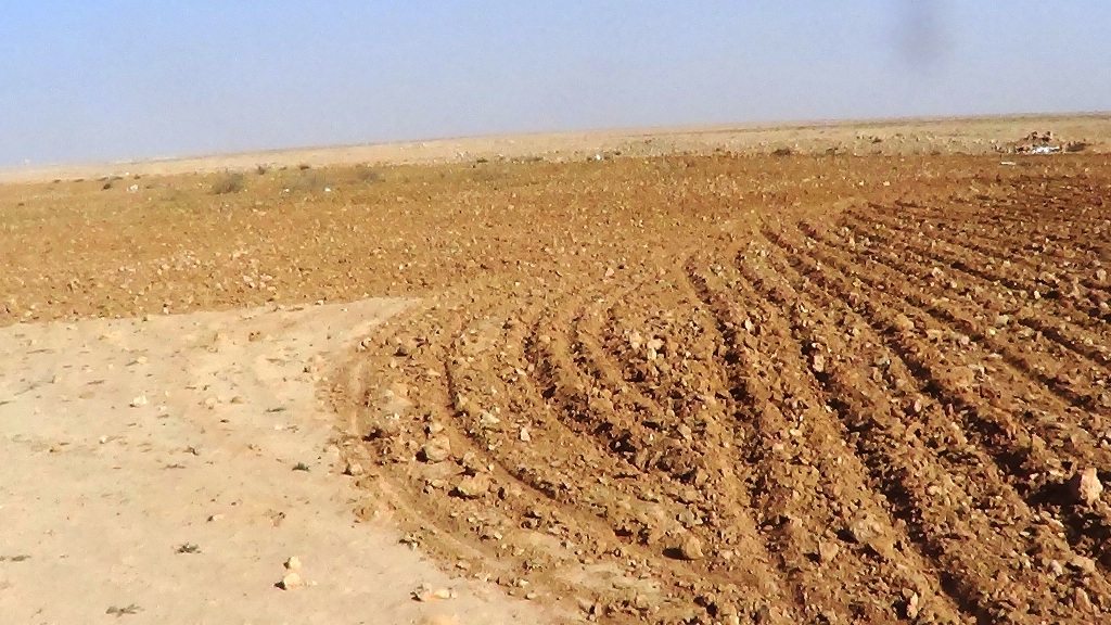 استصلاح الوديان وحصاد مياه الامطار بمطروح