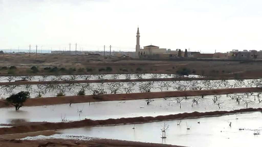 تنمية وتاهيل وزراعة الوديان بحصاد الامطار