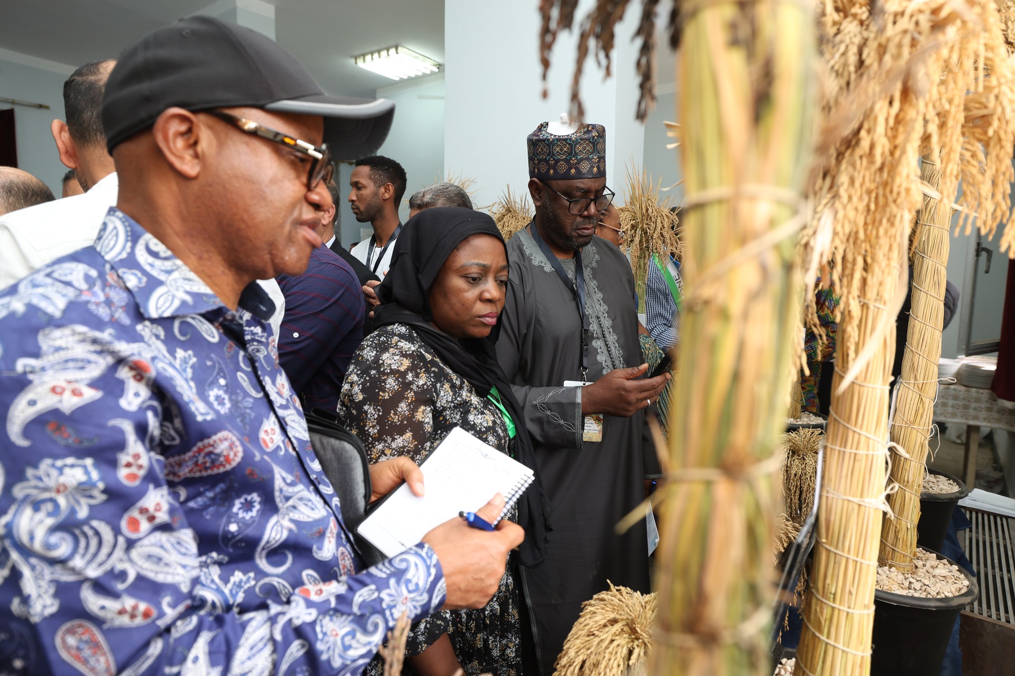 وفود أفريقية يتعرفون على أصناف الأرز وفود أفريقية يتعرفون على أصناف الأرز