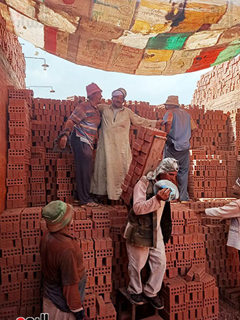 عم-محمود-عامل-طوب-يخطف-القلوب-بصوته-العذب-داخل-مصنع-بالدقهلية-(4)