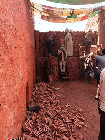 عم-محمود-عامل-طوب-يخطف-القلوب-بصوته-العذب-داخل-مصنع-بالدقهلية-(6)