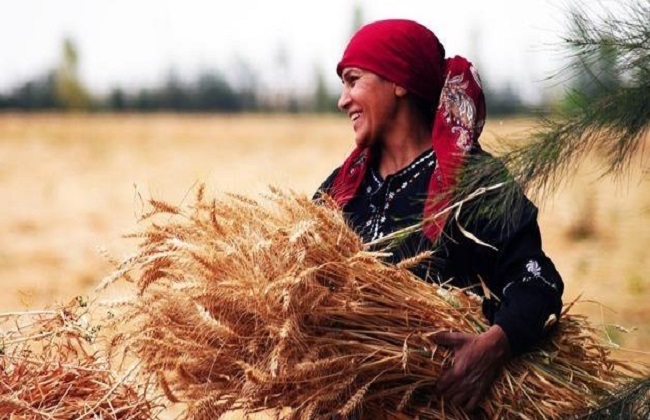 مبادرات تمكين المرأة في الريف والصعيد