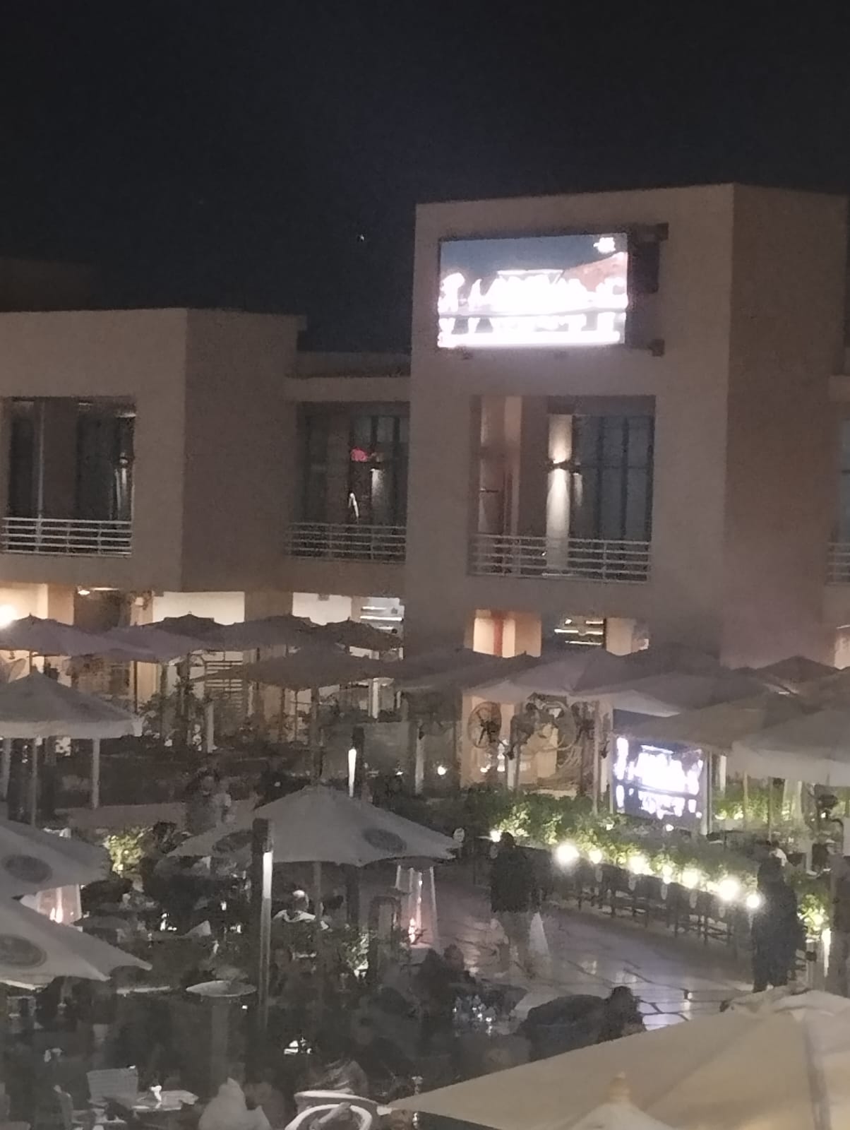 أجواء افتتاح المتحف الكبير من التجمع (3)