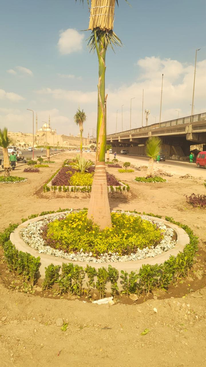 انطلاق المرحلة الرابعة من المبادرة الرئاسية 100 مليون شجرة في الفيوم (2)