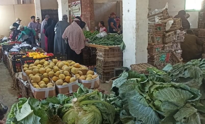 أسواق اليوم الواحد في الوادي الجديد (7)